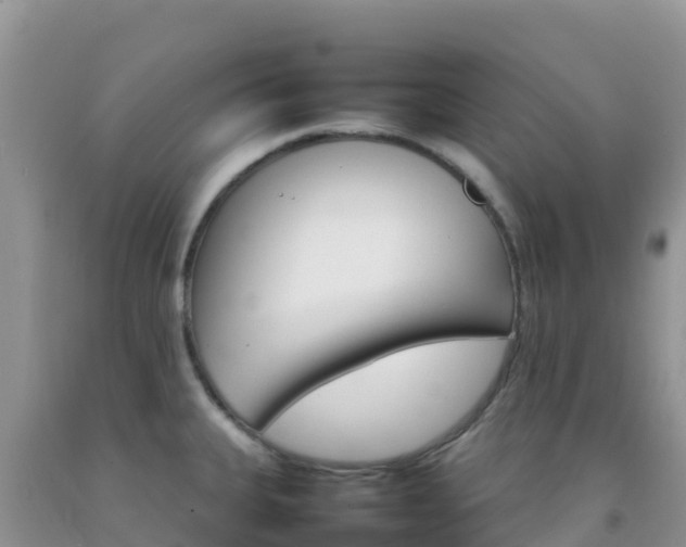 X0000092071335200709191155