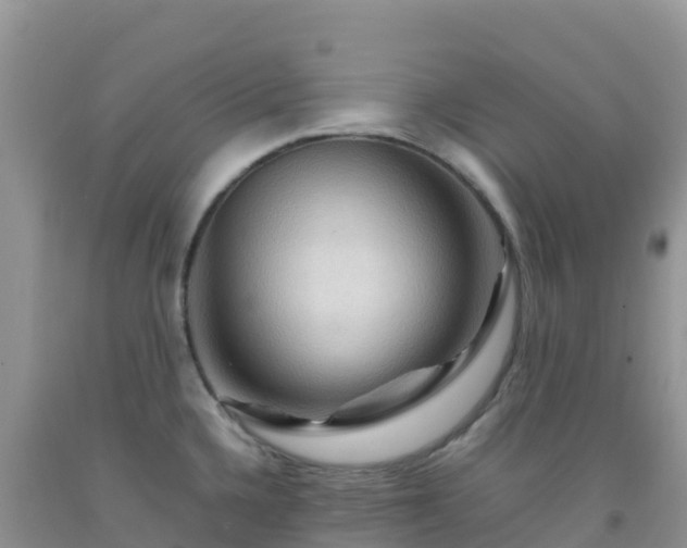 X0000092071336200709191155
