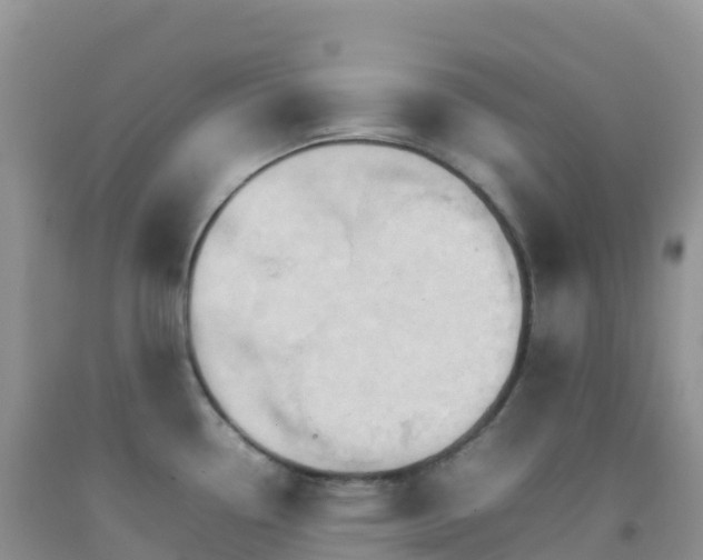 X0000092071338200709191155