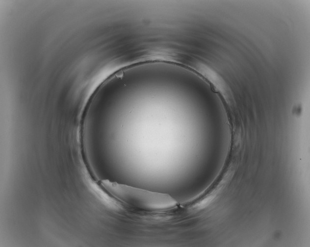 X0000092071339200709191155