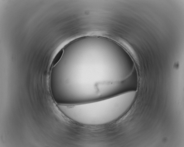 X0000092071340200709191155