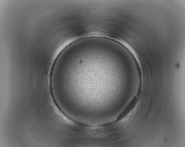 X0000092071341200709191155