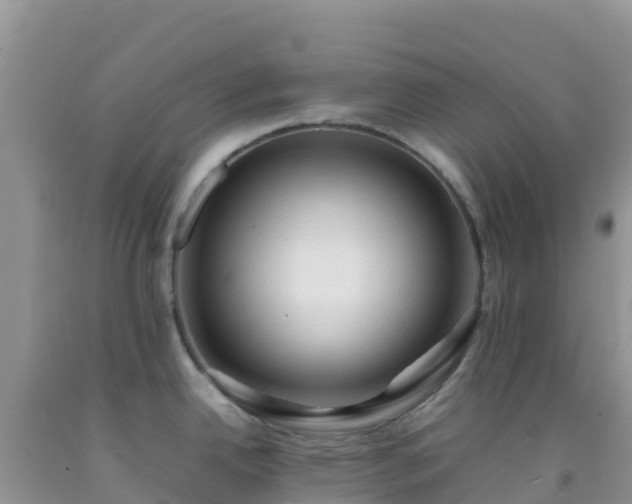X0000092071342200709191155