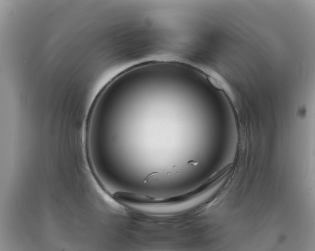 X0000092071343200709191155