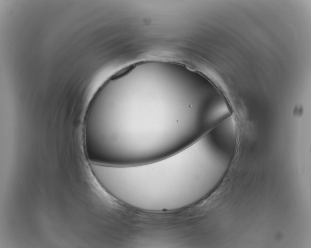 X0000092071344200709191155