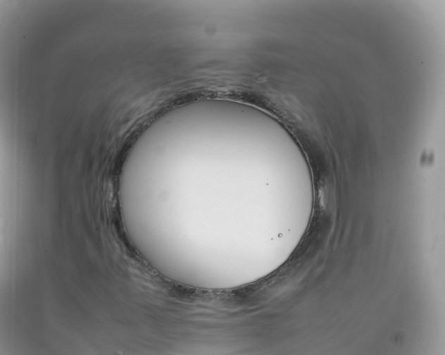 X0000092071347200709191154