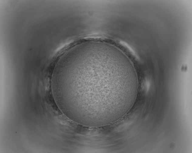 X0000092071350200709191154