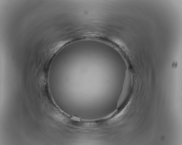 X0000092071353200709191154