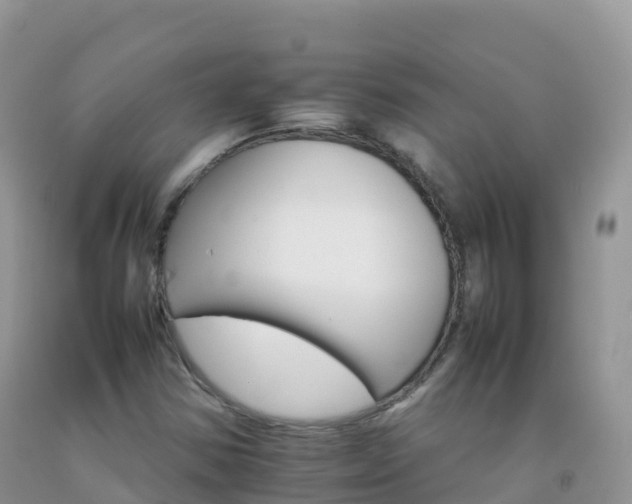 X0000092071354200709191154