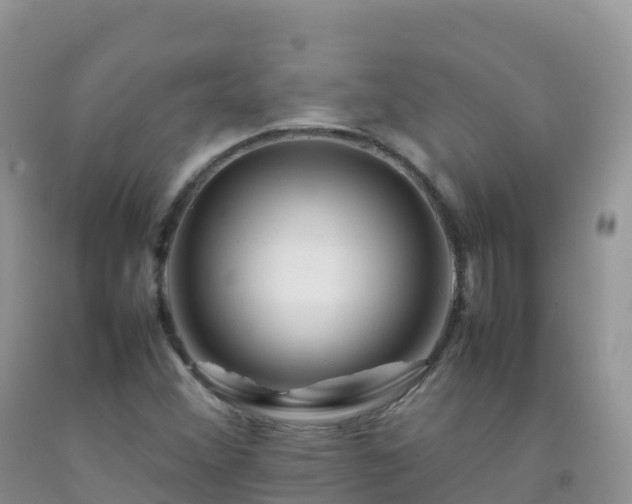 X0000092071356200709191154