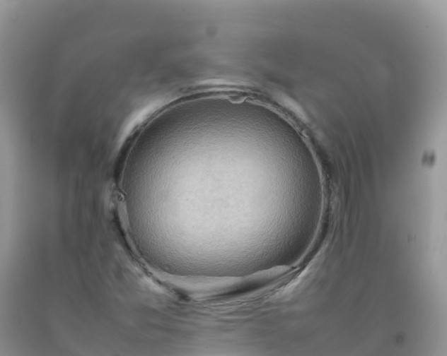 X0000092071357200709191154