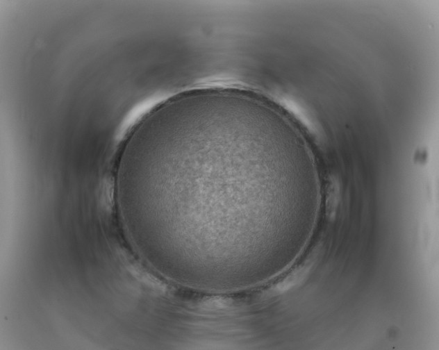 X0000092071358200709191154