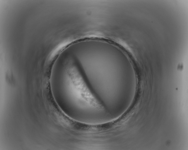 X0000092071359200709191154