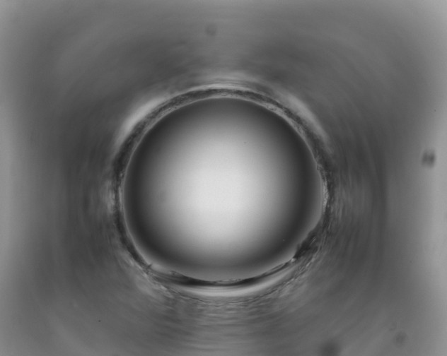 X0000092071360200709191154