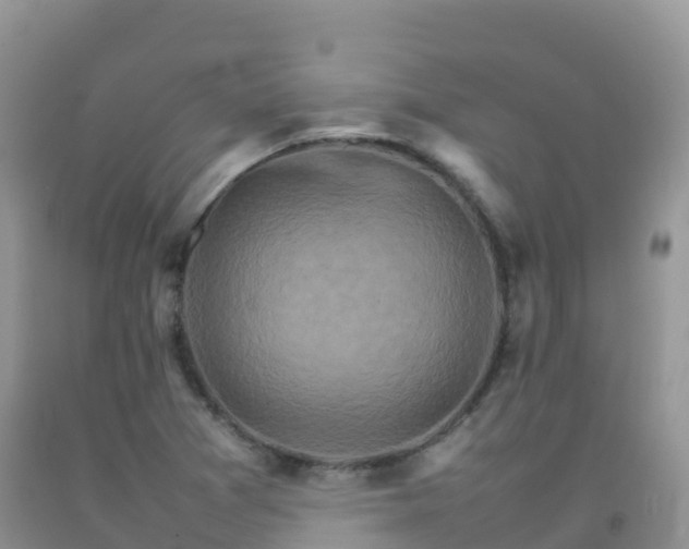 X0000092071361200709191154