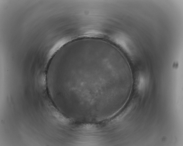 X0000092071362200709191154