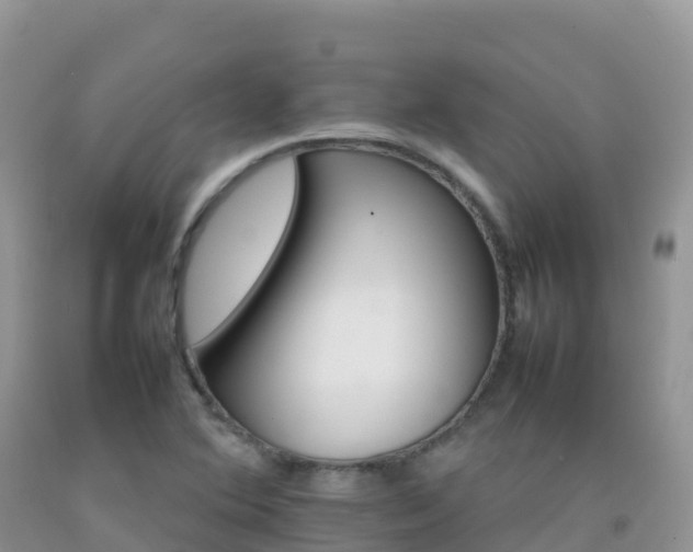 X0000092071364200709191154