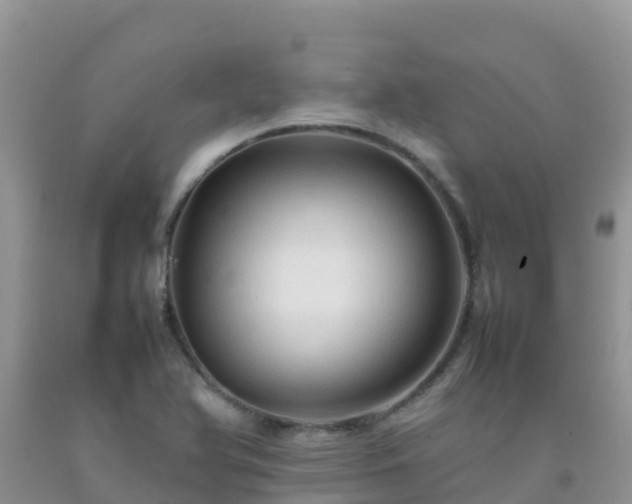 X0000092071366200709191154