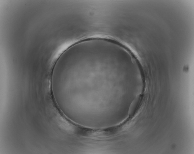 X0000092071367200709191154