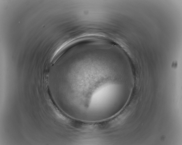 X0000092071369200709191154