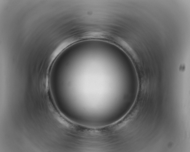 X0000092071370200709191154