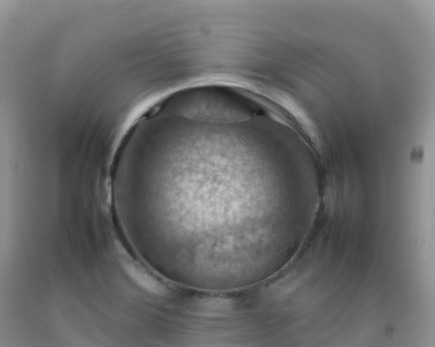 X0000092071372200709191154