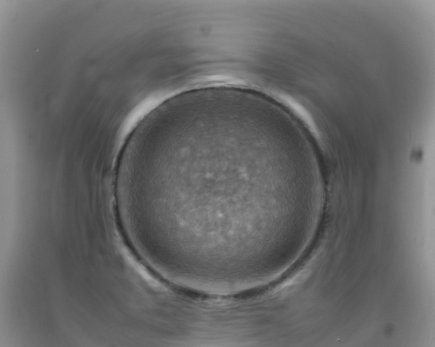 X0000092071373200709191154