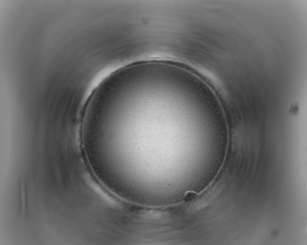 X0000092071374200709191154