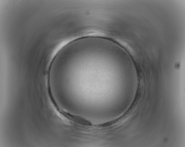 X0000092071375200709191154