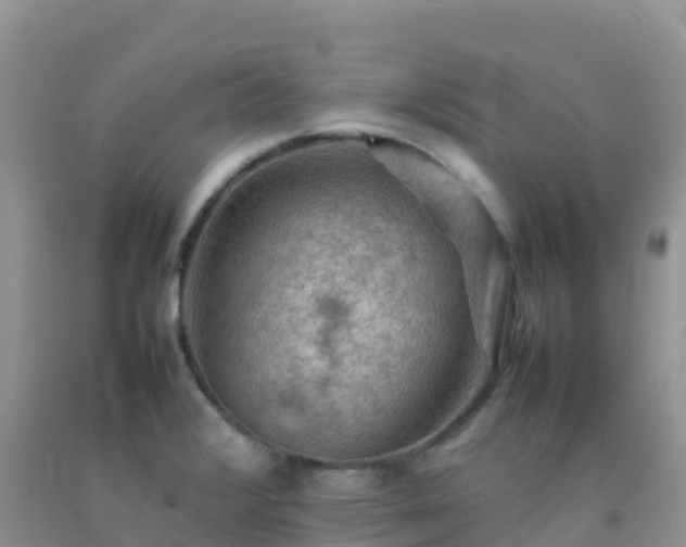 X0000092071376200709191154