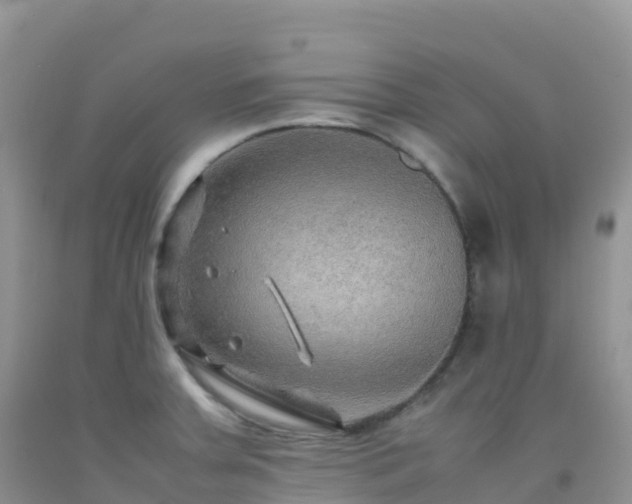 X0000092071379200709191154
