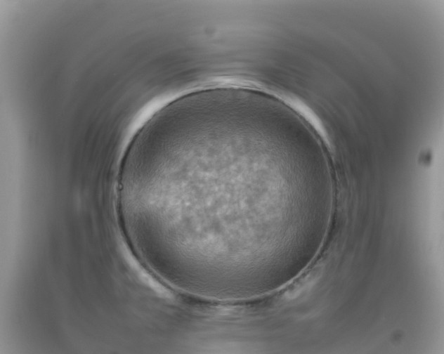 X0000092071381200709191154