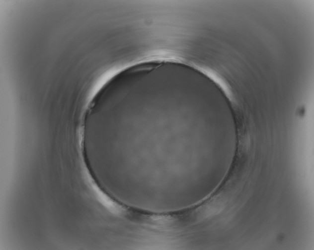 X0000092071383200709191154