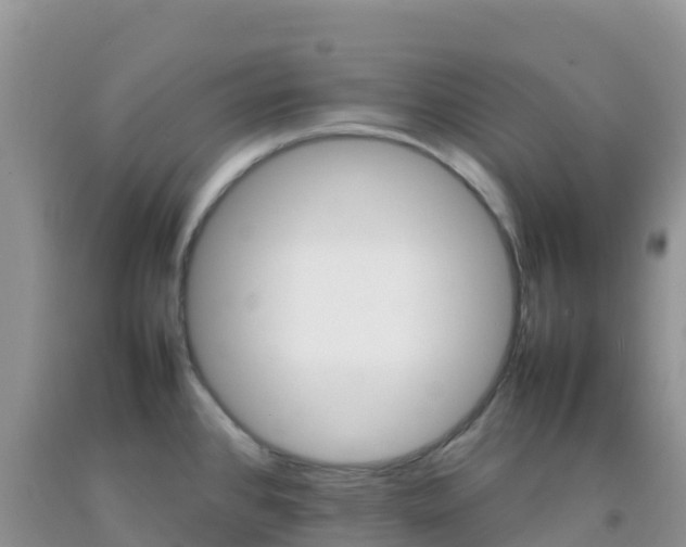 X0000092071384200709191154