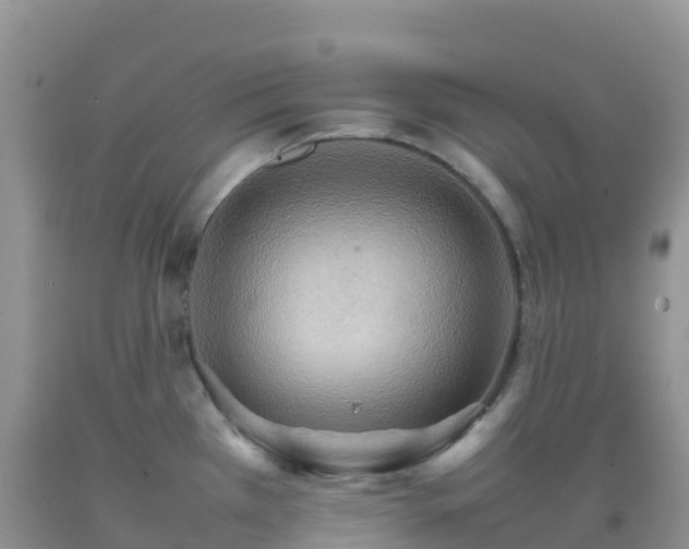 X0000092071385200709191154