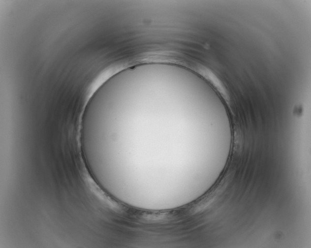 X0000092071386200709191154