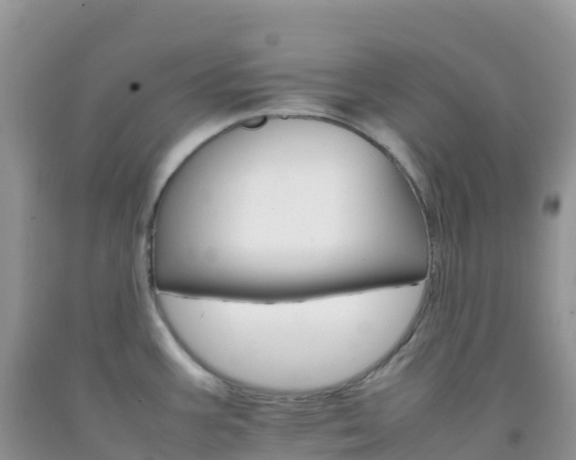 X0000092071387200709191154