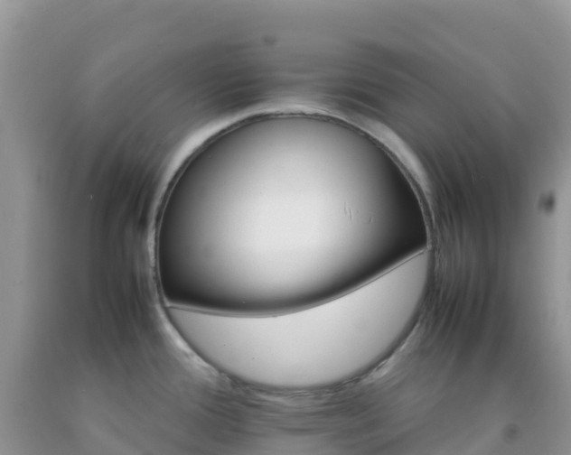X0000092071388200709191154