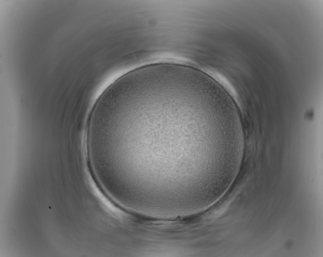 X0000092071391200709191154