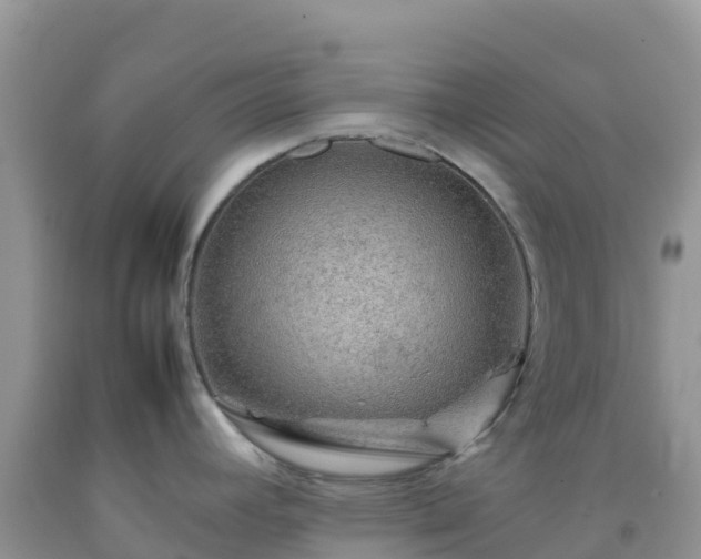 X0000092071392200709191154