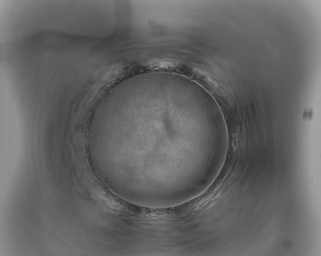 X0000092071393200709191153