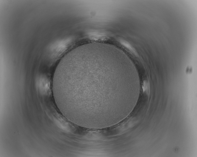X0000092071396200709191153