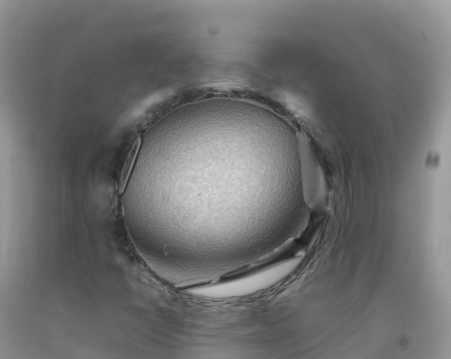 X0000092071398200709191153