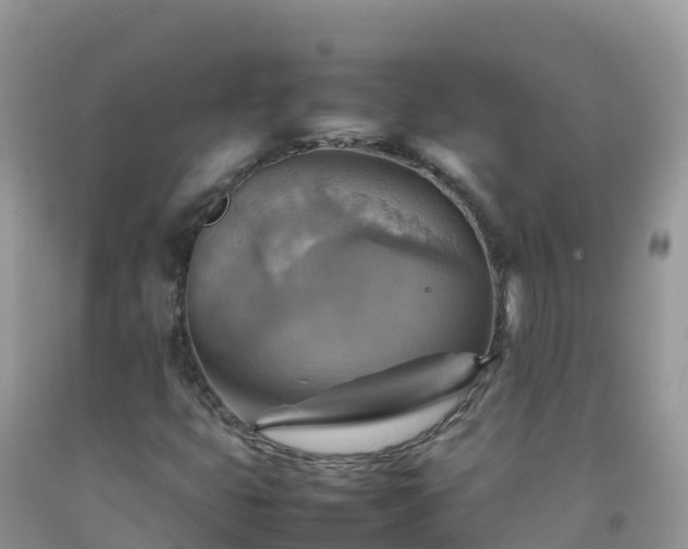 X0000092071399200709191153
