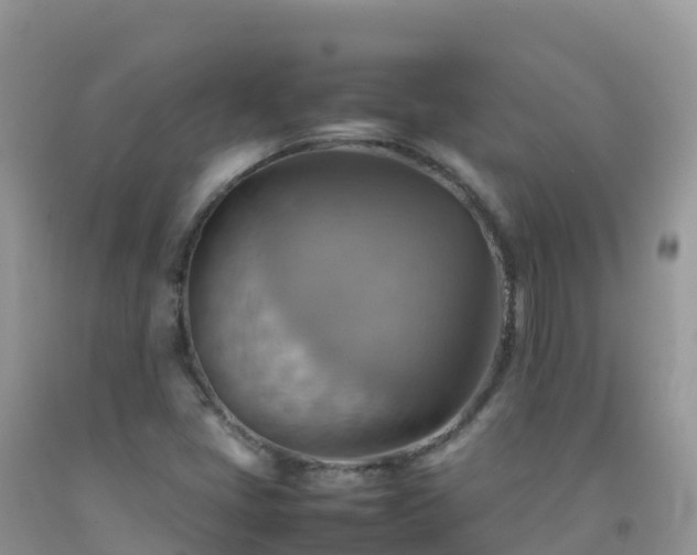 X0000092071405200709191153