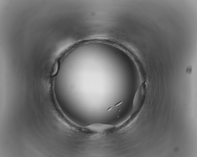 X0000092071406200709191153