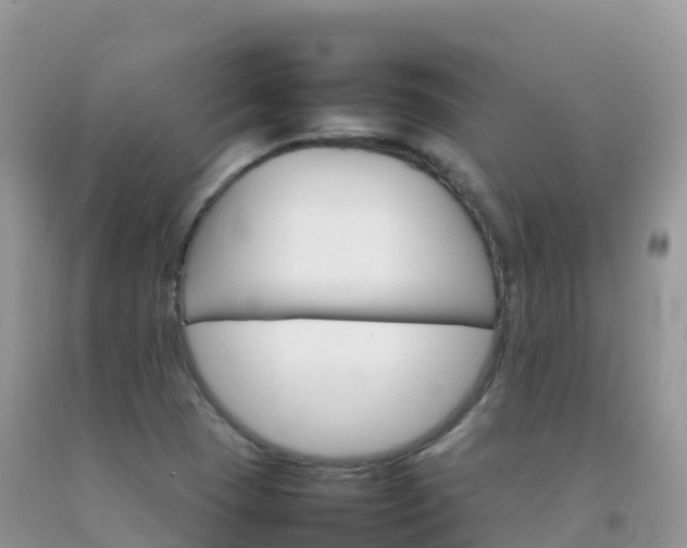 X0000092071409200709191153