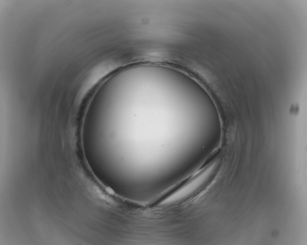 X0000092071410200709191153