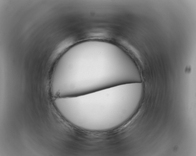 X0000092071411200709191153