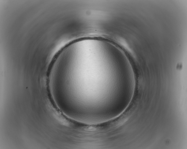 X0000092071412200709191153